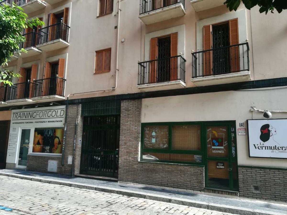 Luxury Maestranza Donkey Lägenhet Sevilla Exteriör bild